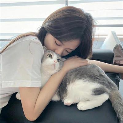 宝可梦:超梦的逆袭