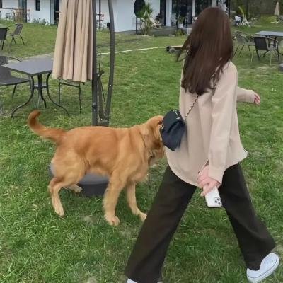这是我的岛